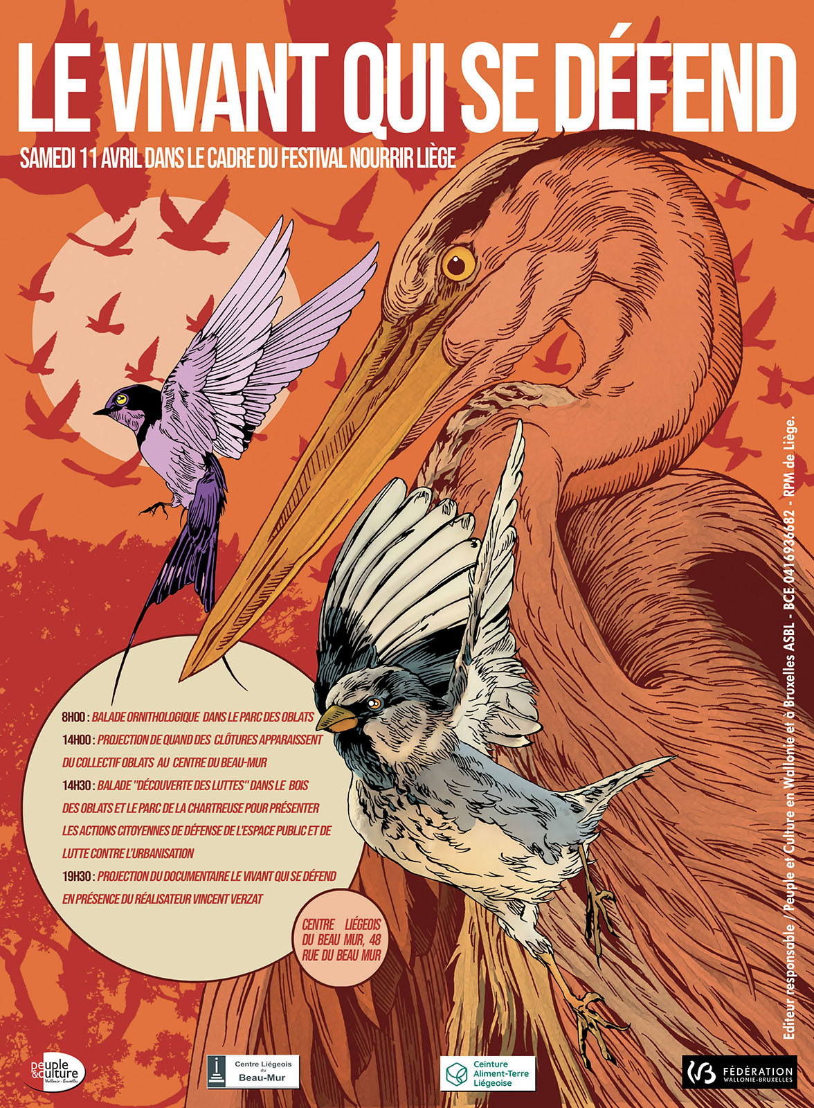 Bird 3 traits et couleurs WEB