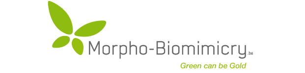 morphoLogo